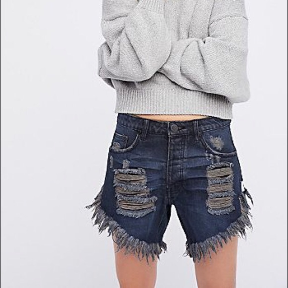 One Teaspoon Frankies Cutoff Shorts